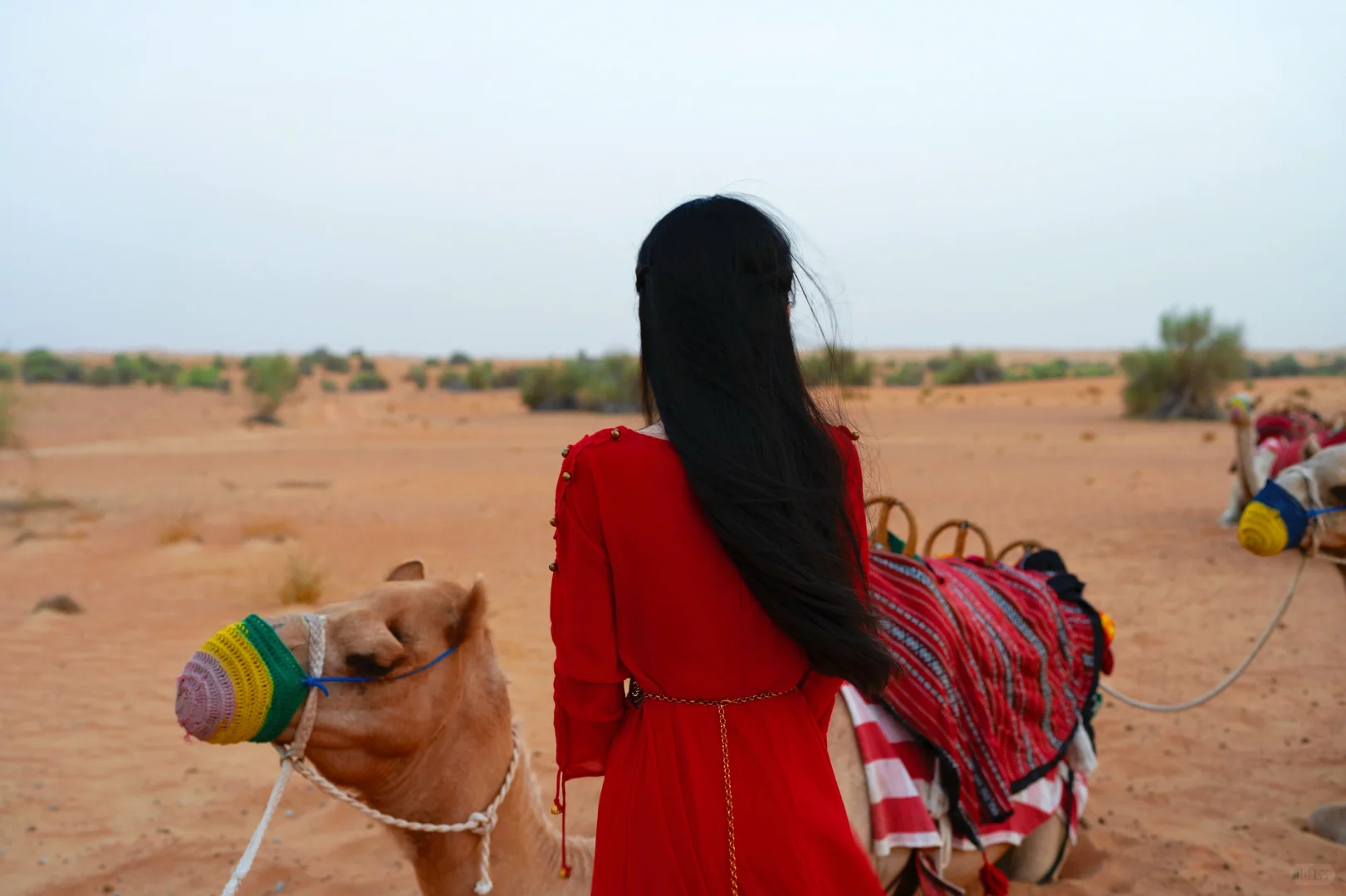 住在沙漠里的日子🐪