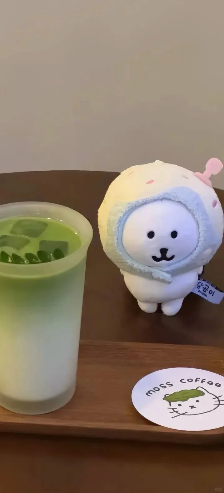 自嘲熊壁纸 | 熊 你也太萌了叭