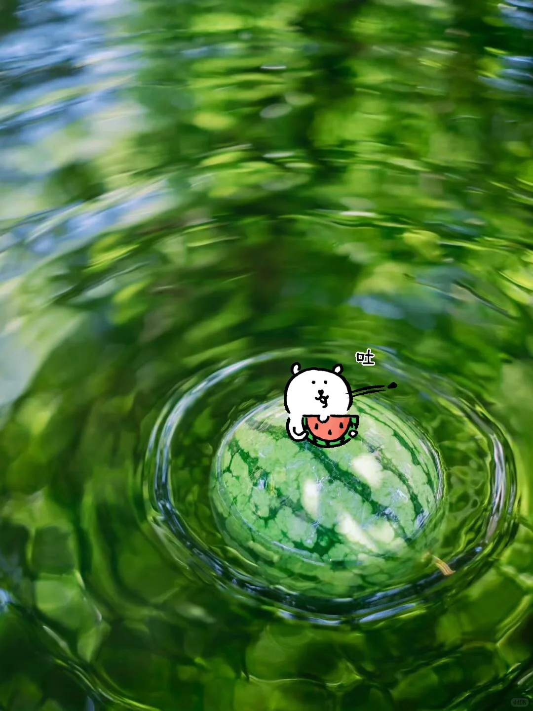 熊….日常摆烂享受生活🌿