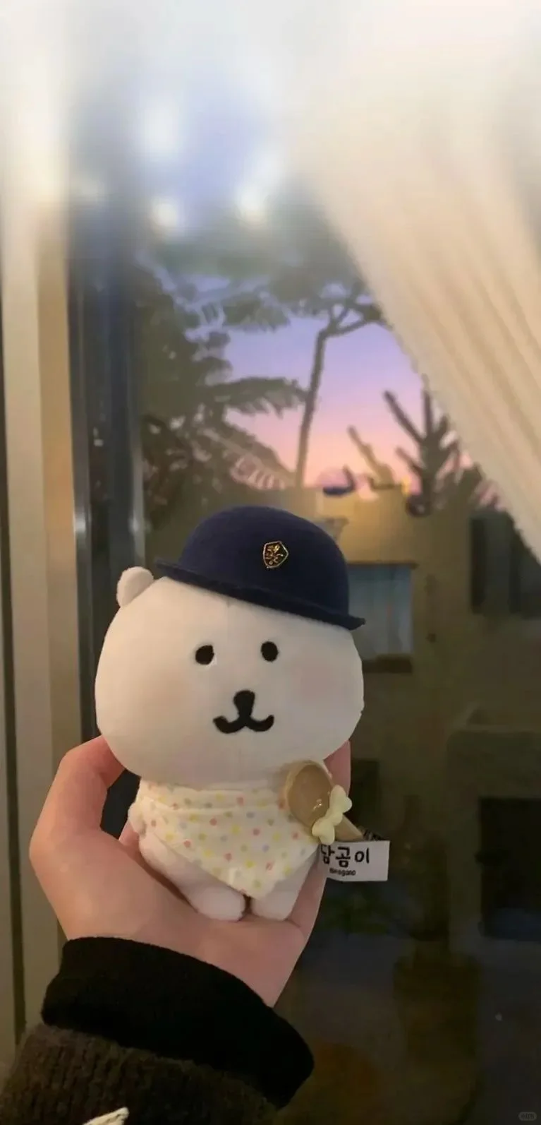 自嘲熊壁纸 | 熊 你也太萌了叭