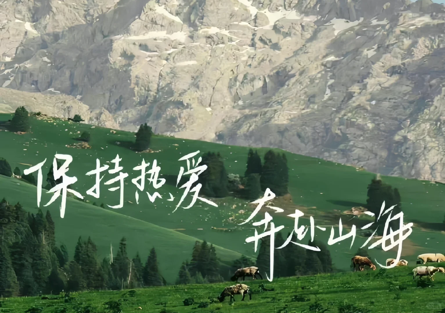 iPad壁纸分享📚文字篇11