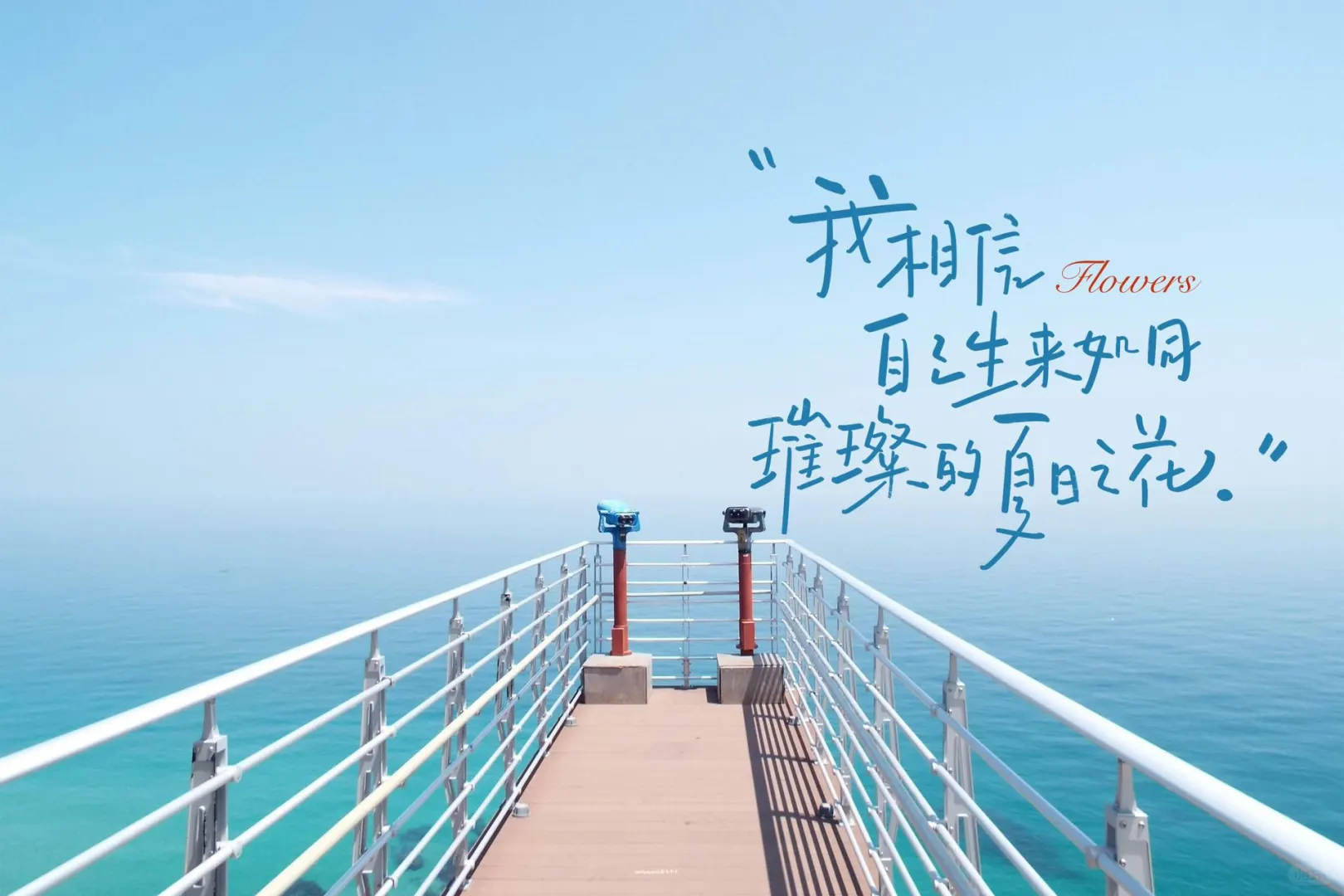 iPad 壁纸｜夏日版