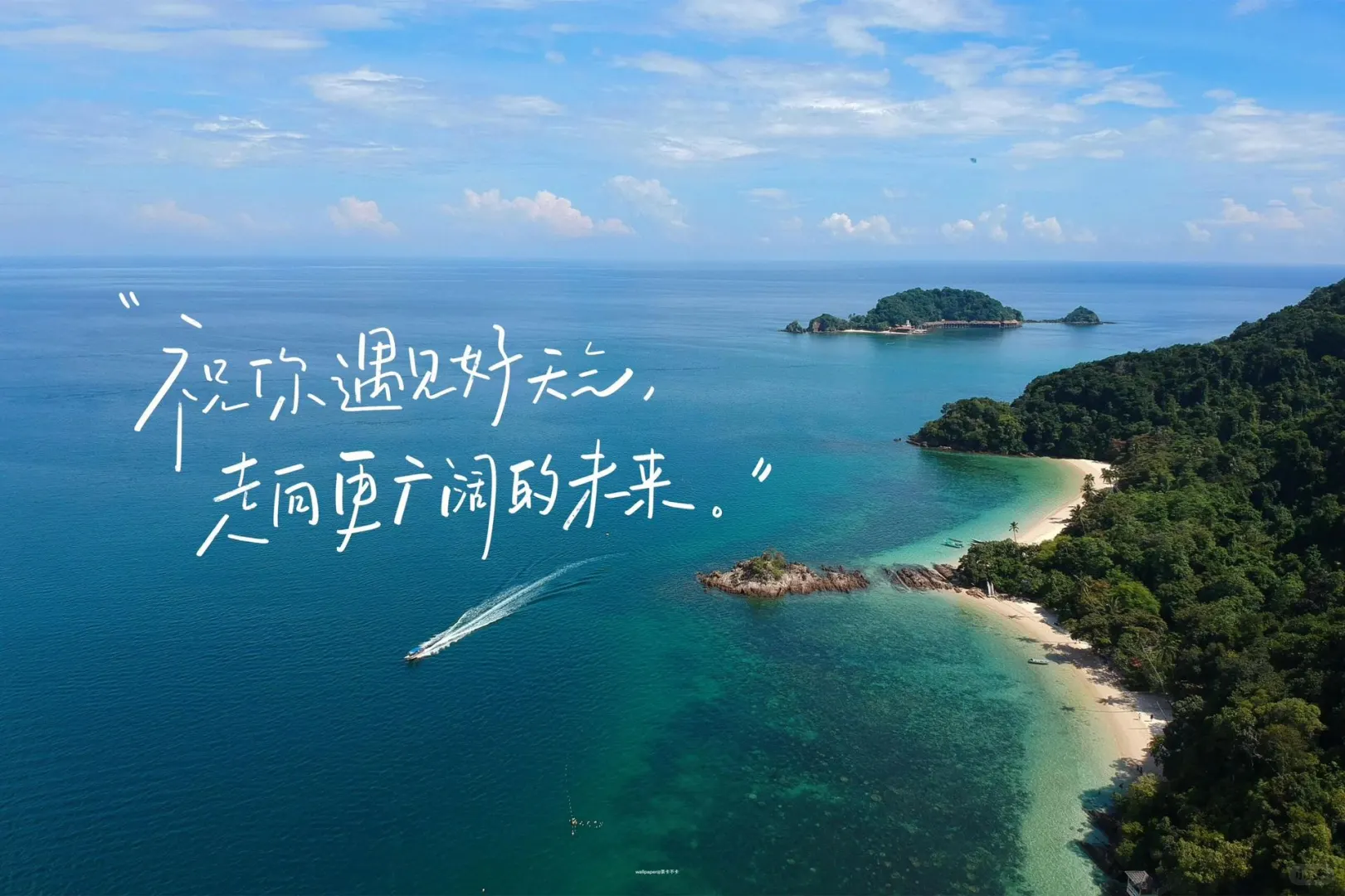 iPad 壁纸｜夏日版