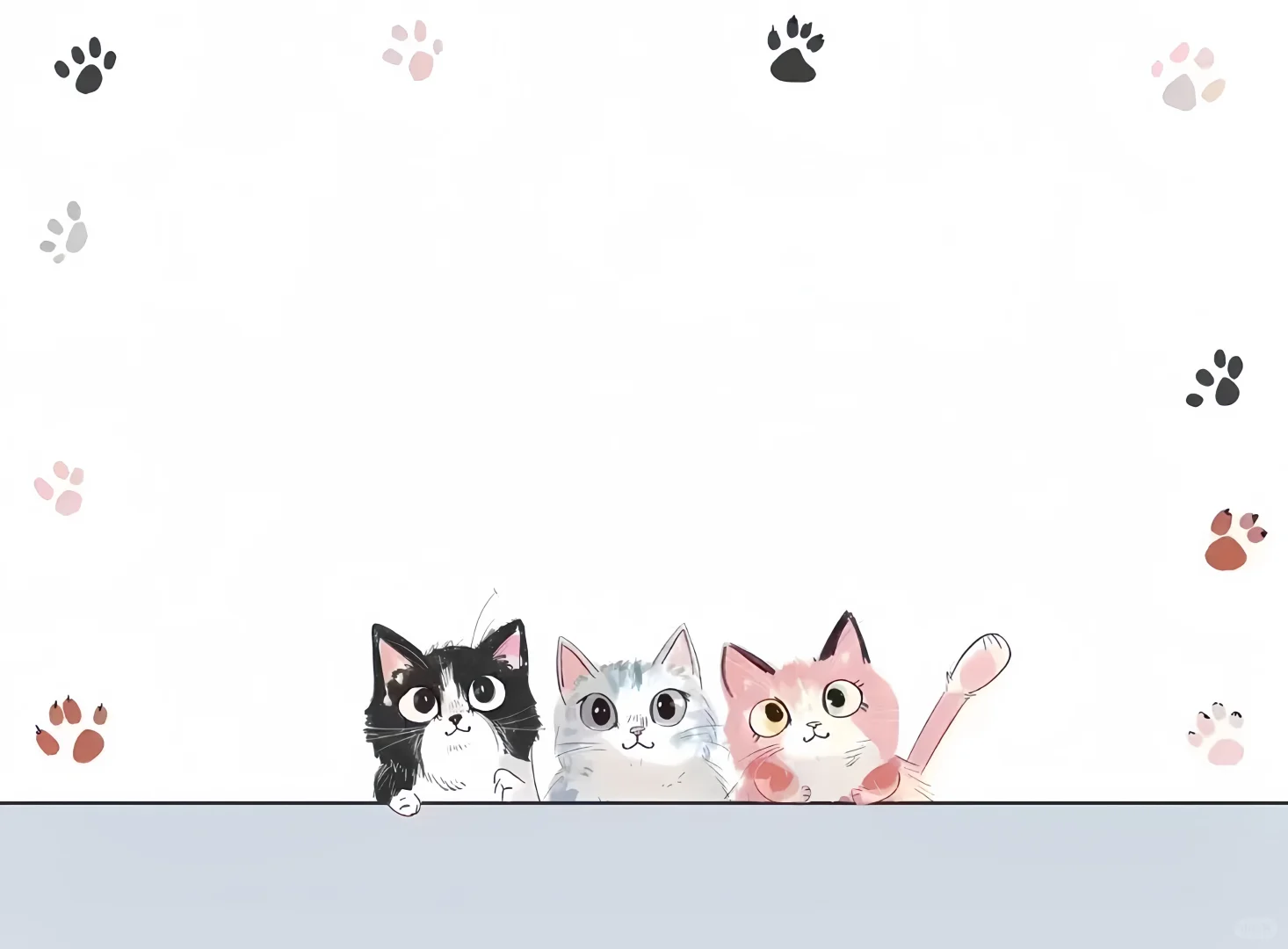 小猫壁纸｜iPad壁纸✨