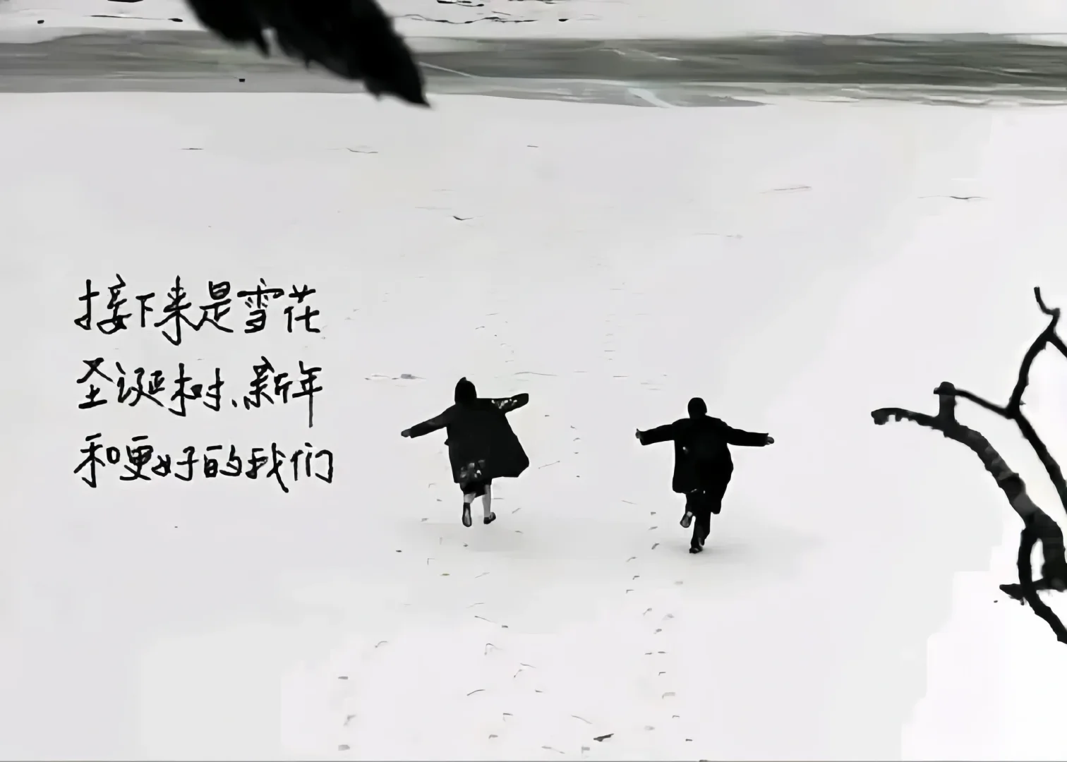 iPad壁纸分享📚文字篇11