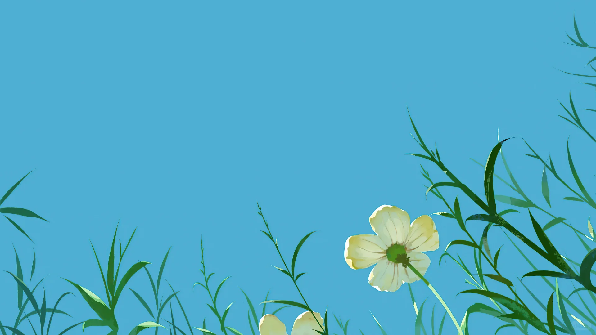 Wallpaper∣ipad电脑壁纸