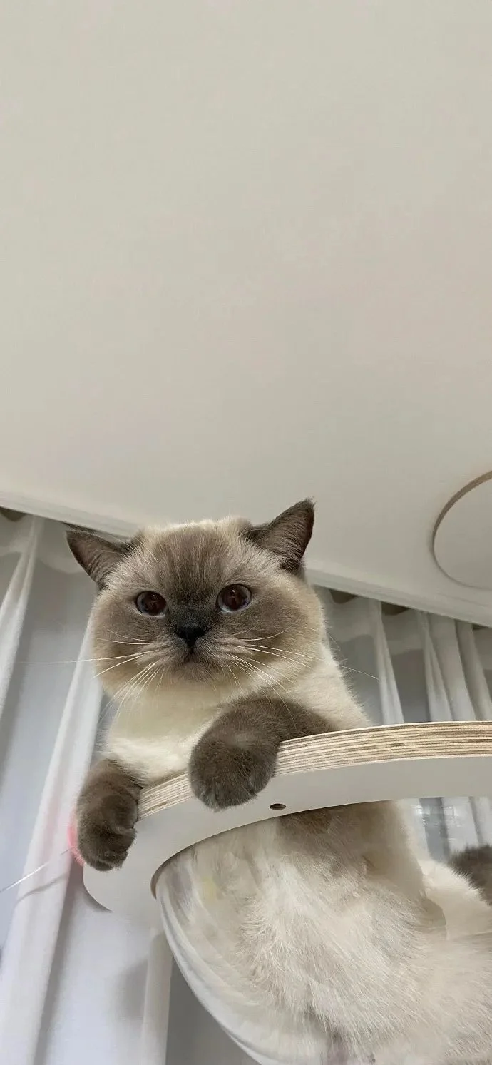 简约风壁纸