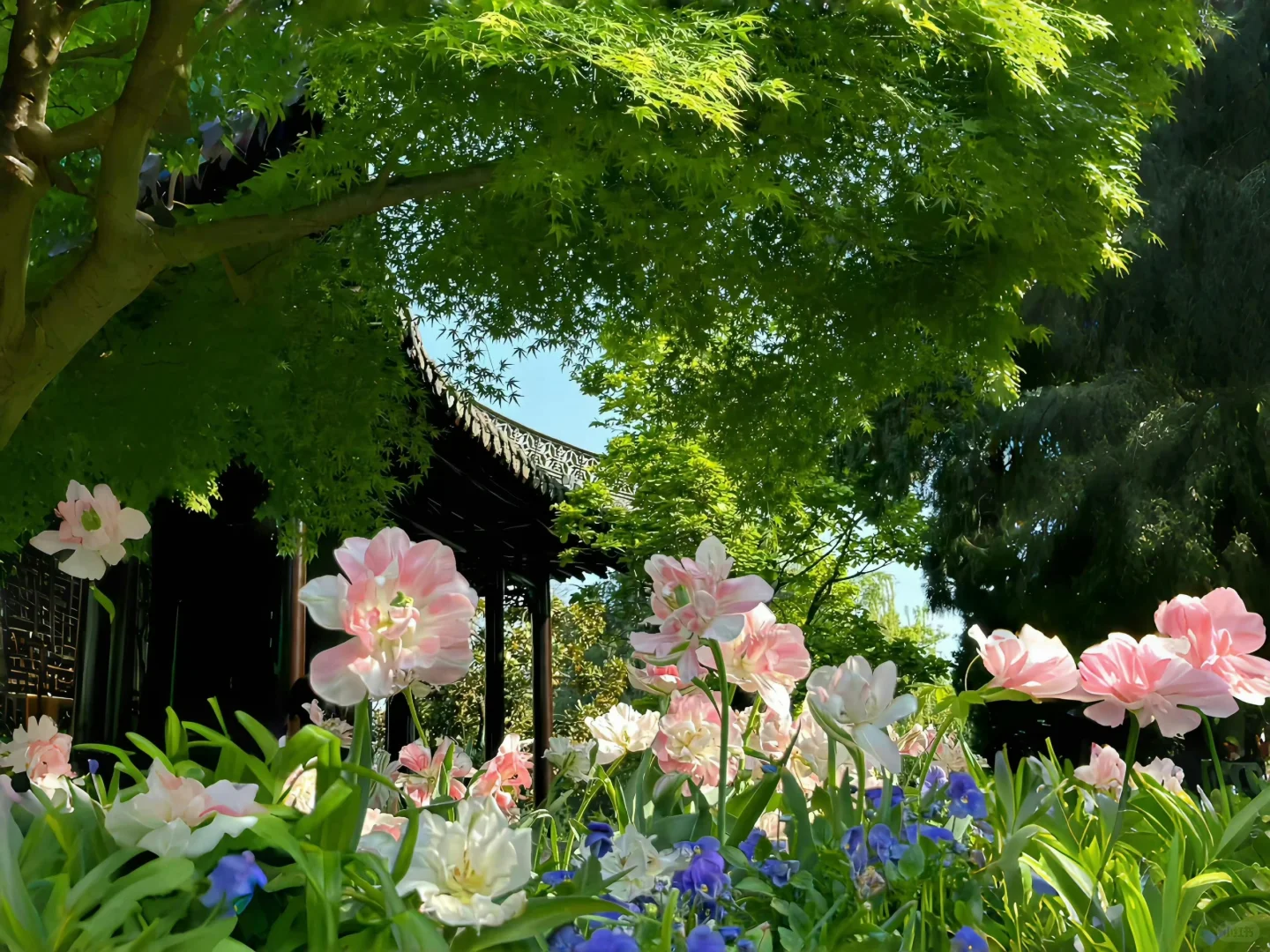 炎炎夏日快来换上清凉的平板壁纸降降温！