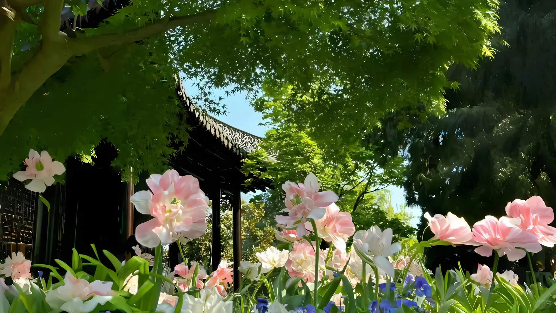 𝐒𝐡𝐚𝐫𝐞丨生命力平板电脑壁纸