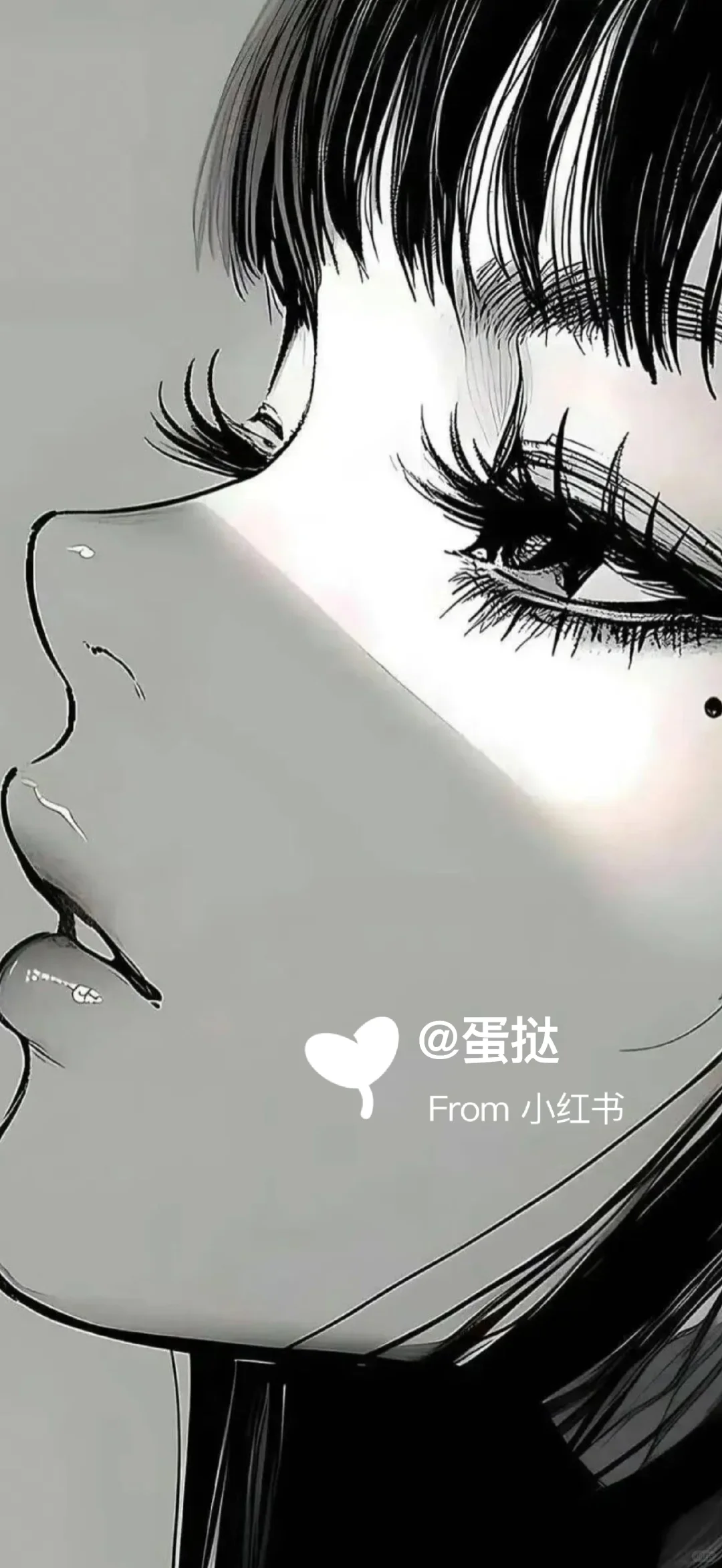 𝐒𝐡𝐚𝐫𝐞｜小众壁纸 ˚.⊹