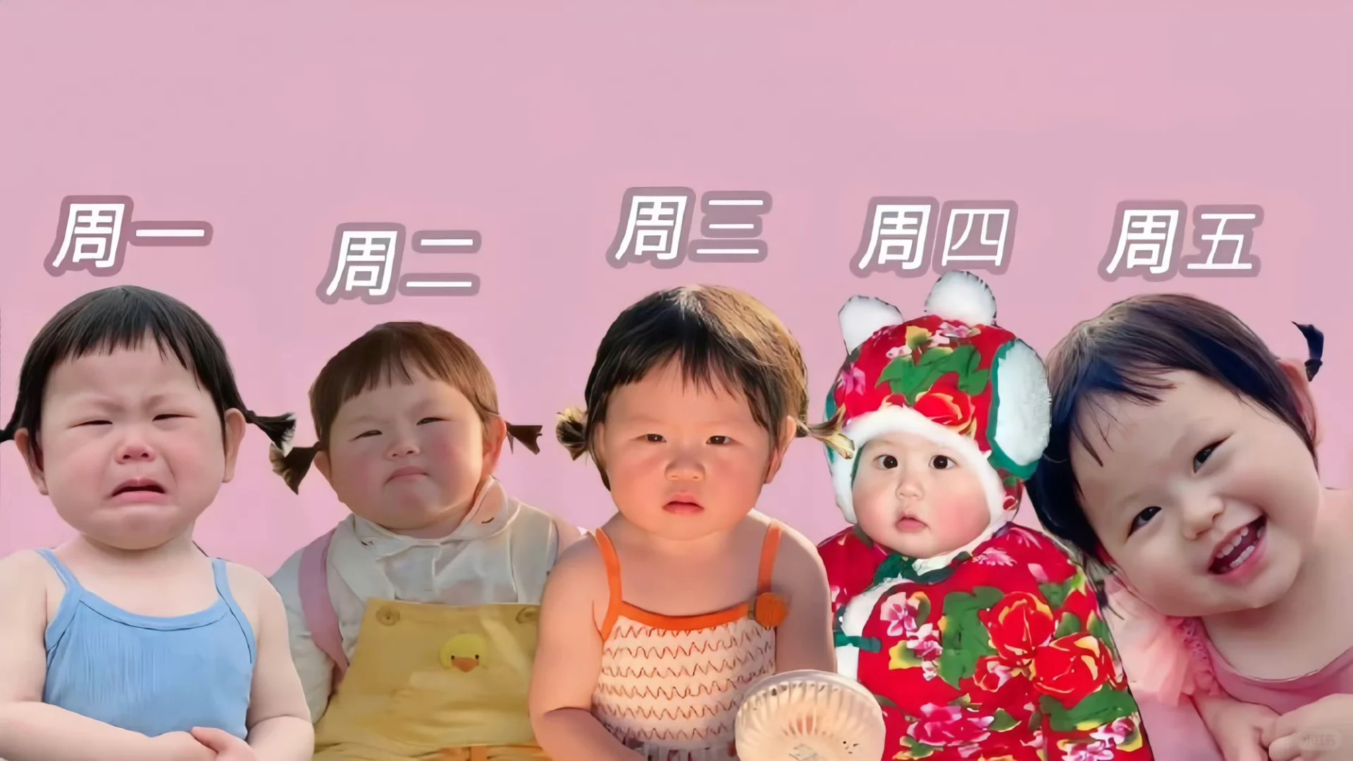 打工人专属iPad电脑壁纸