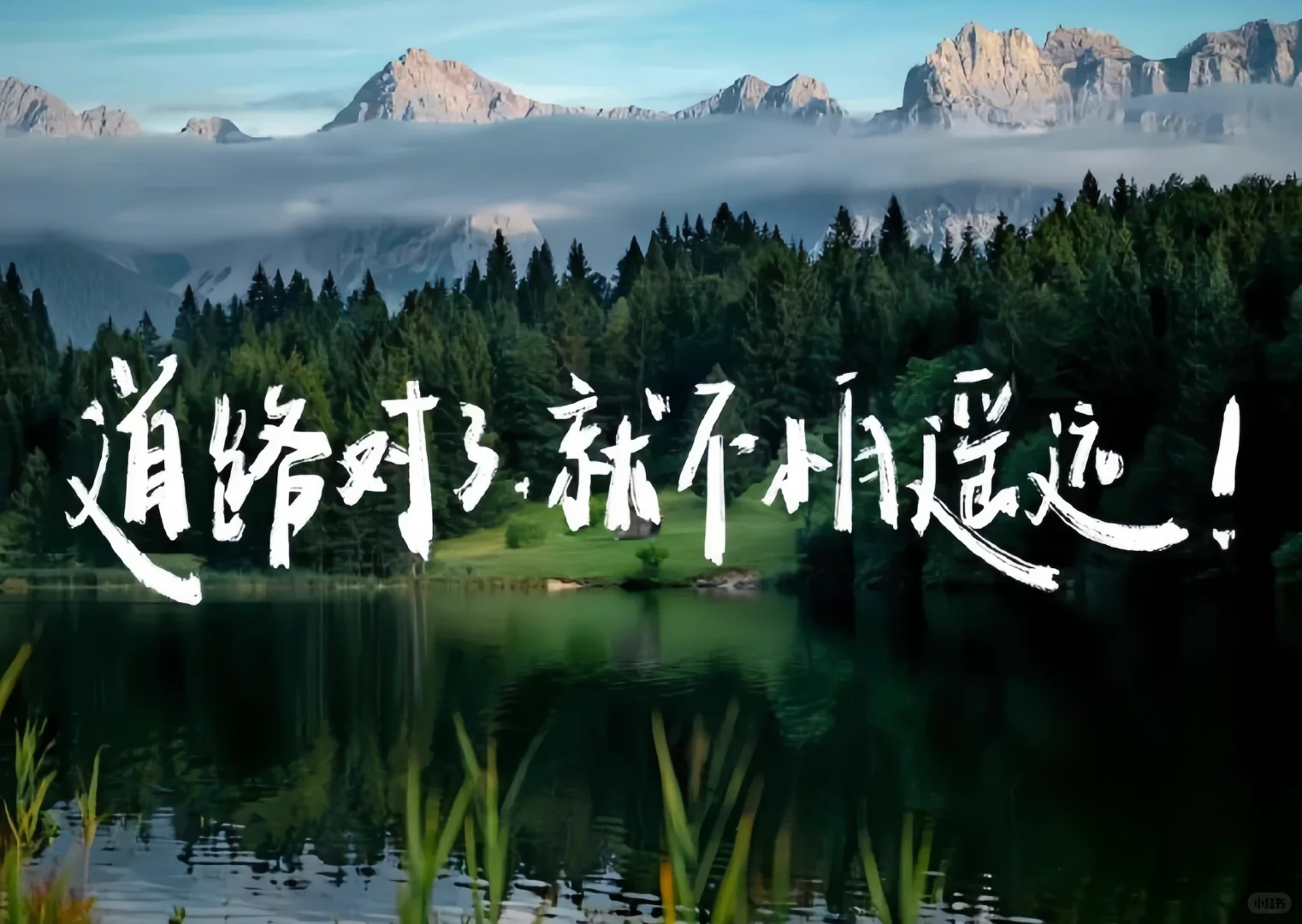 iPad壁纸分享📚文字篇11