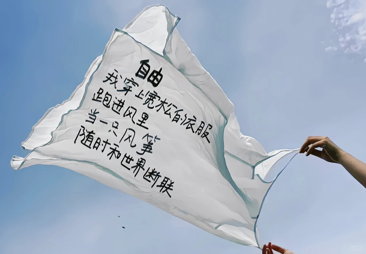 iPad壁纸分享📚文字篇11