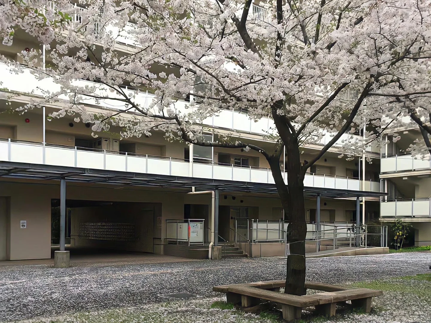 炎炎夏日快来换上清凉的平板壁纸降降温！
