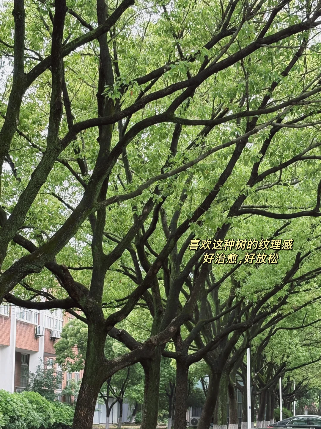 女研