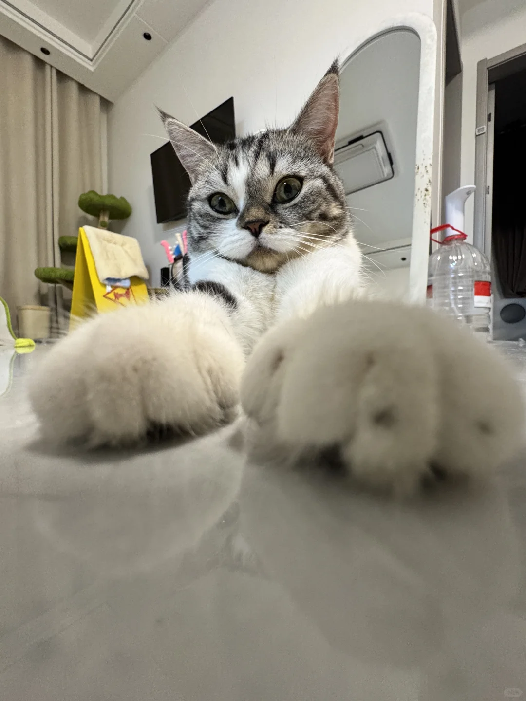 左滑看千姿百态娇媚动人