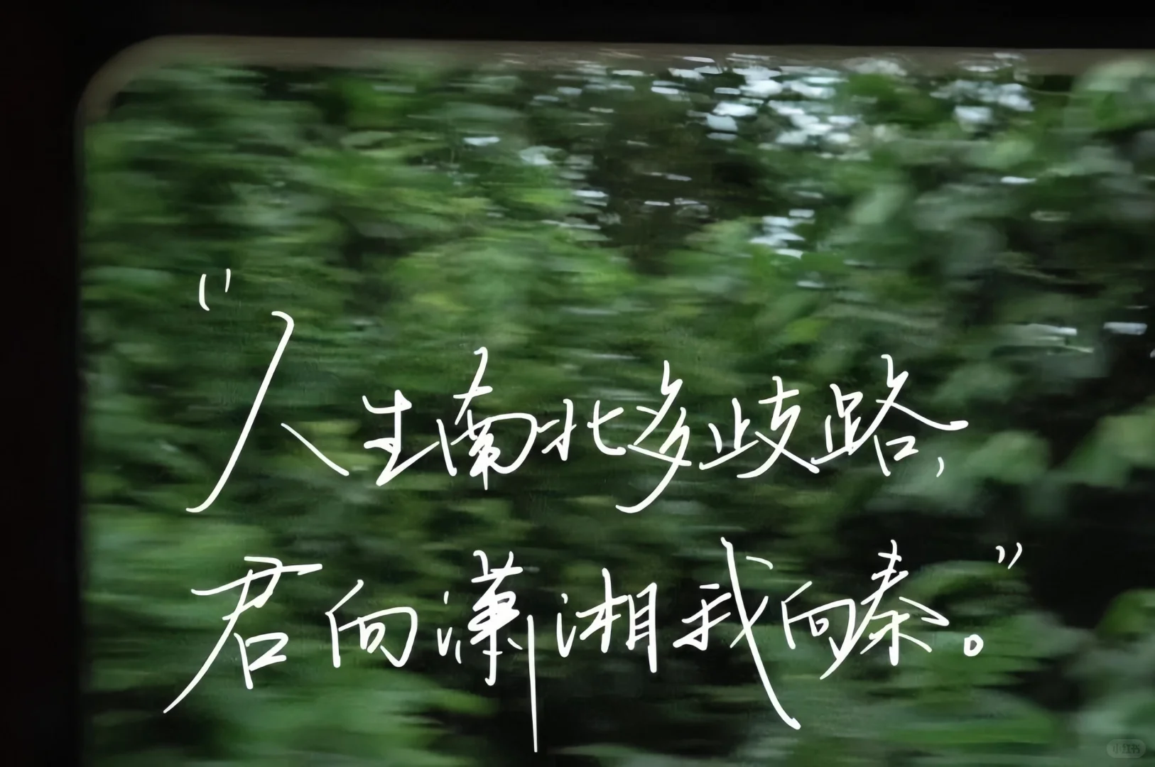 iPad壁纸分享📚文字篇11