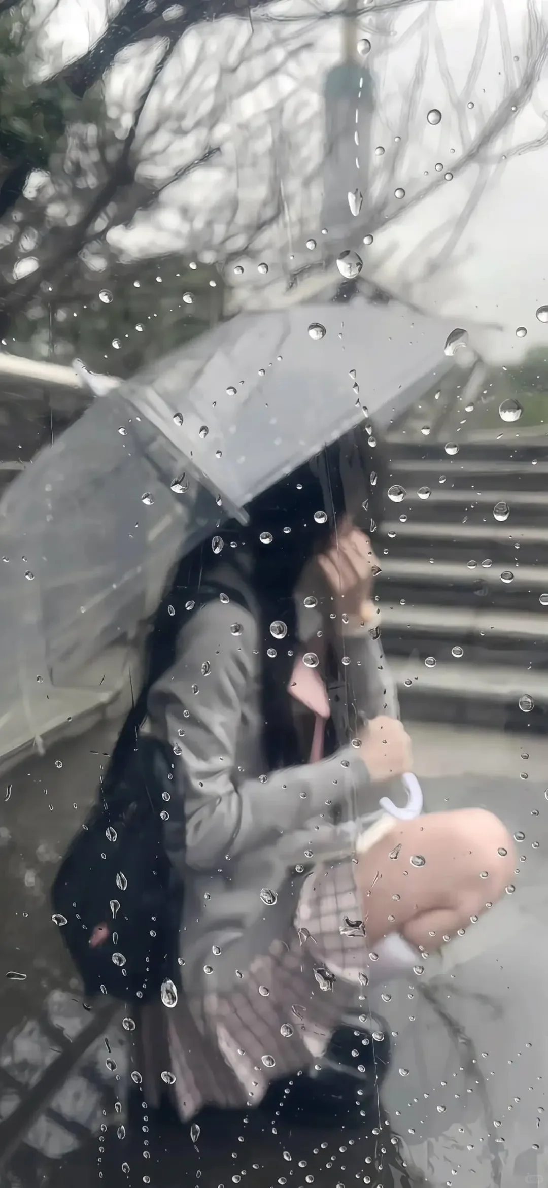 权威壁纸｜晴天