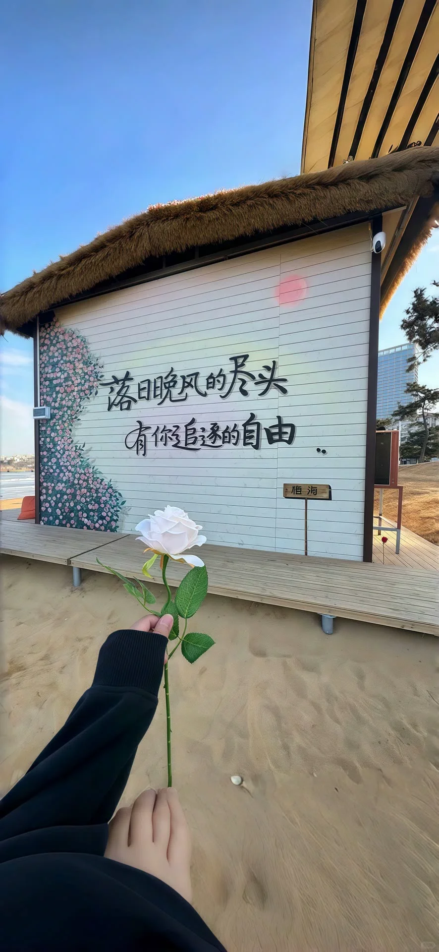 风潮壁纸库丨值得长期不换的壁纸