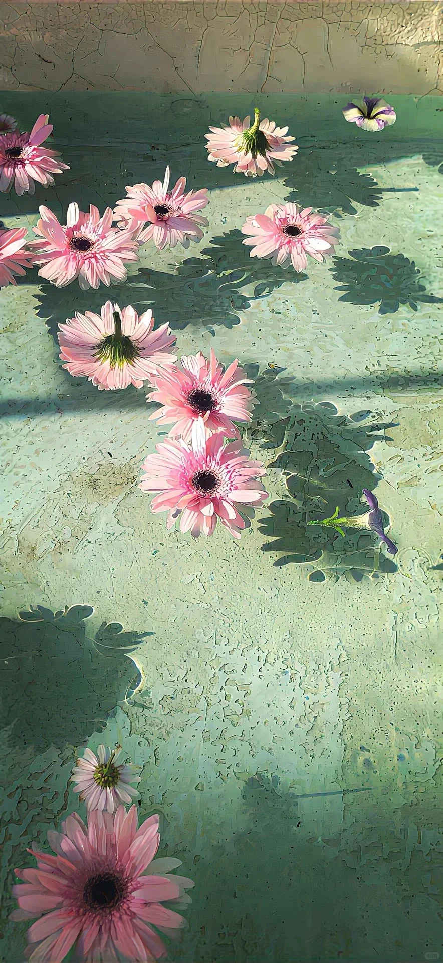 𝙬𝙖𝙡𝙡𝙥𝙖𝙥𝙚𝙧丨小众氛围感壁纸🦋