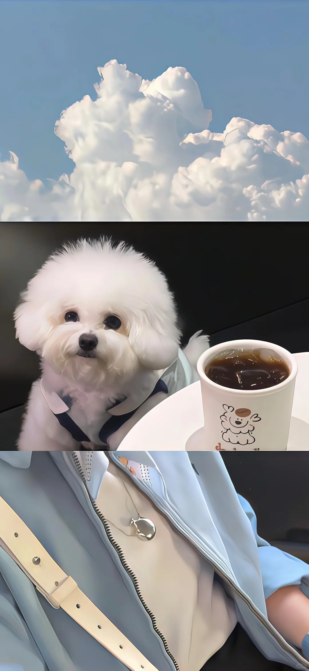 ins风壁纸｜好治愈