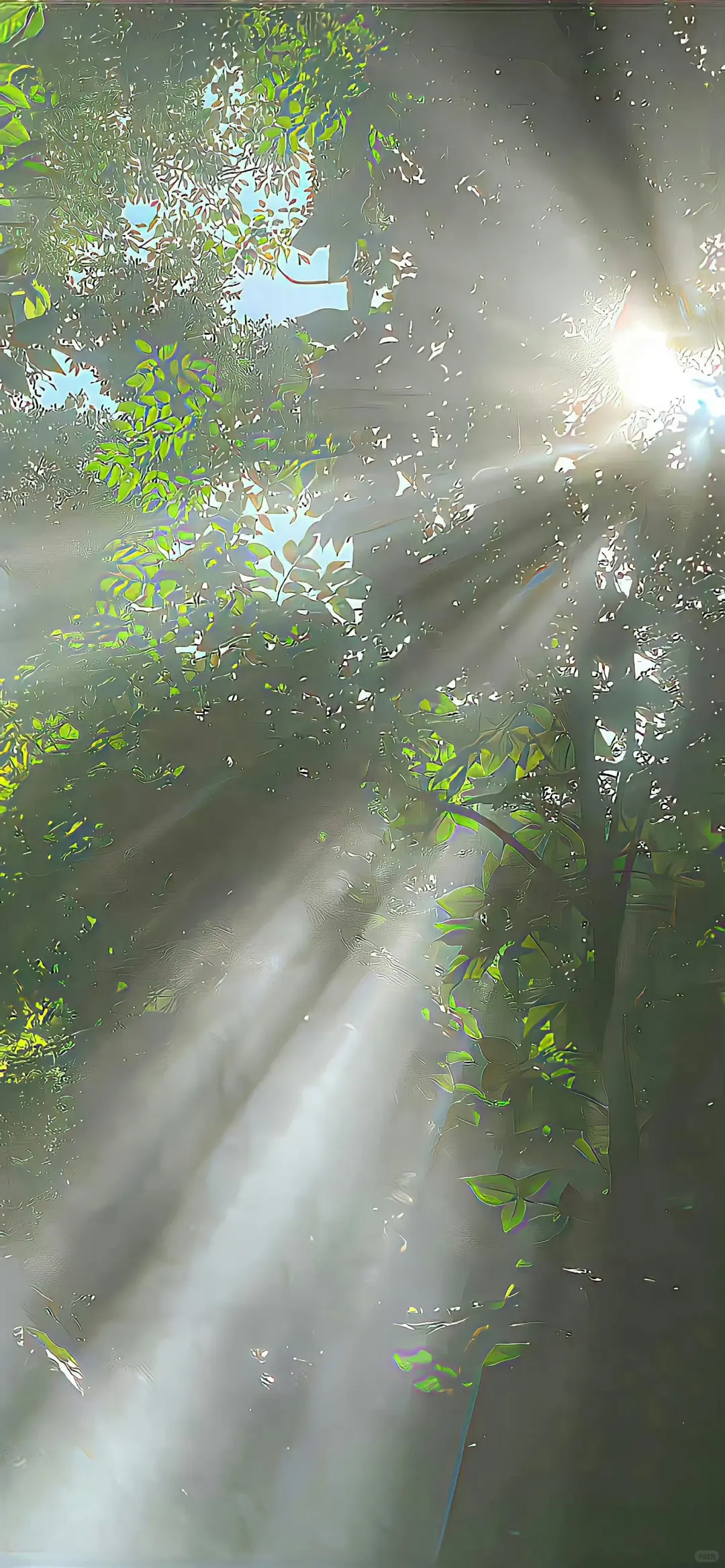 𝙬𝙖𝙡𝙡𝙥𝙖𝙥𝙚𝙧 | 氛围感全屏壁纸🍃