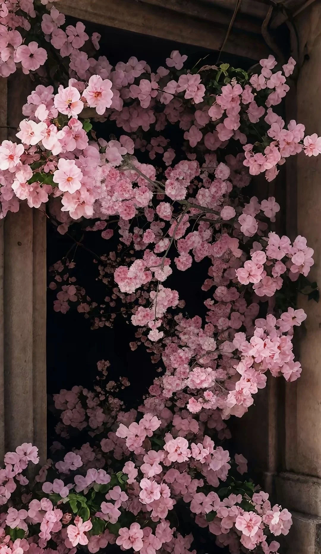 𝑾𝒆𝑪𝒉𝒂𝒕·夏日限定壁纸