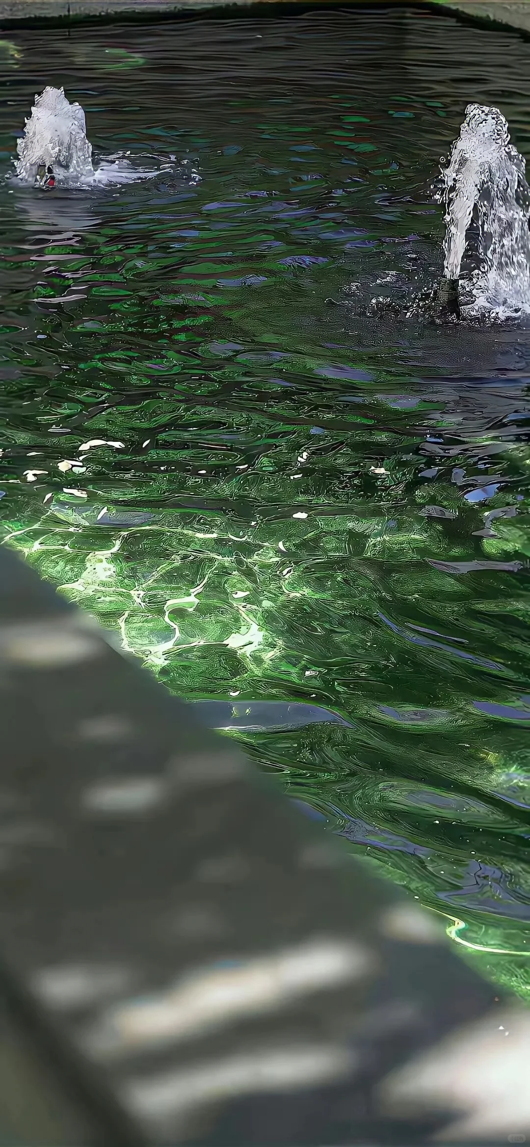 水艺术-001