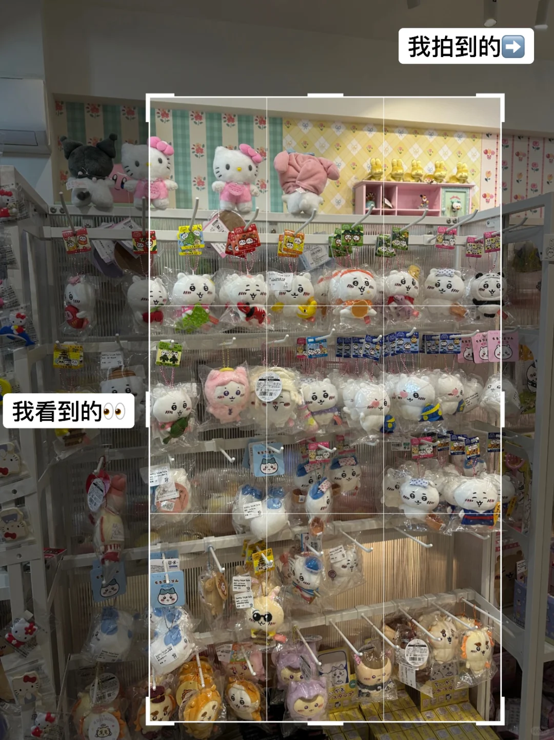 👀二次构图➕发光滤镜😭尊嘟是废片之神！！