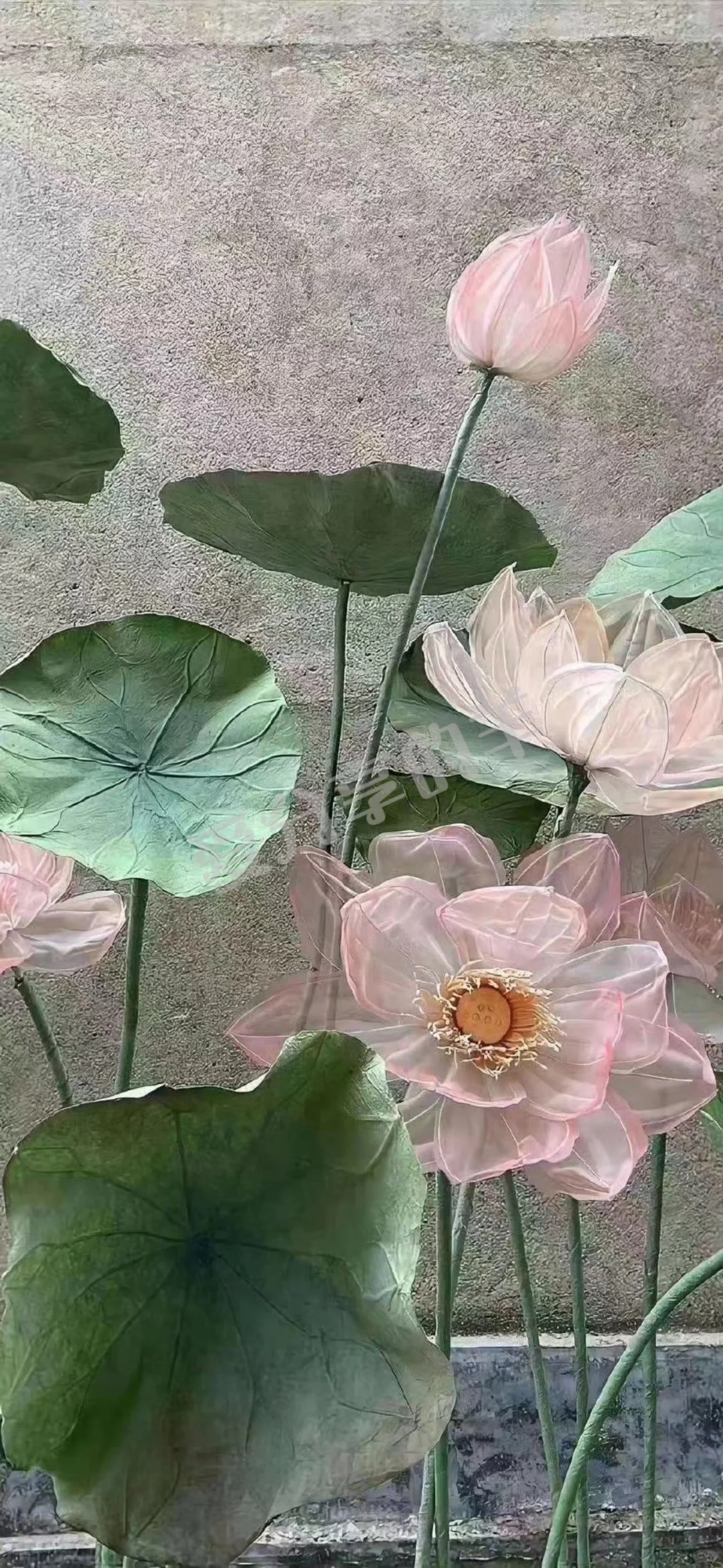 ☀适合夏日的荷花壁纸真的爱了！