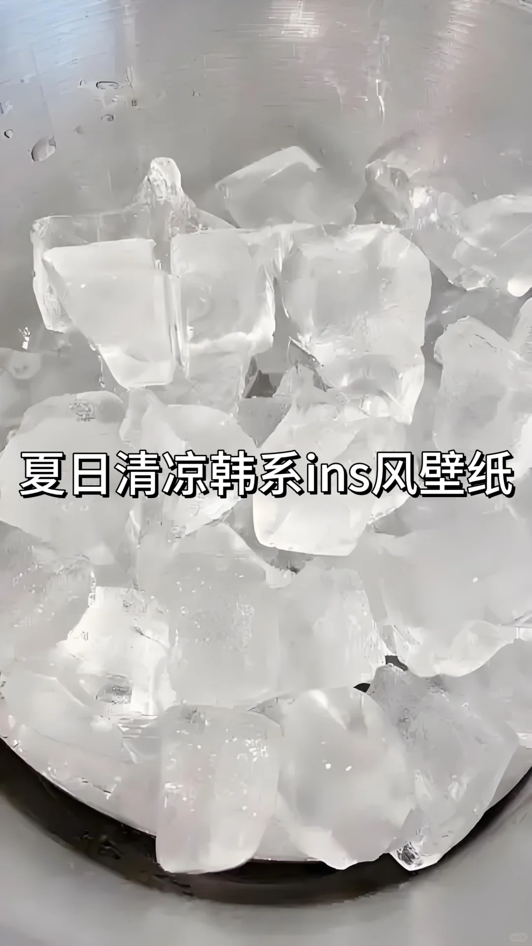 韩系充满生命力ins风小众壁纸！