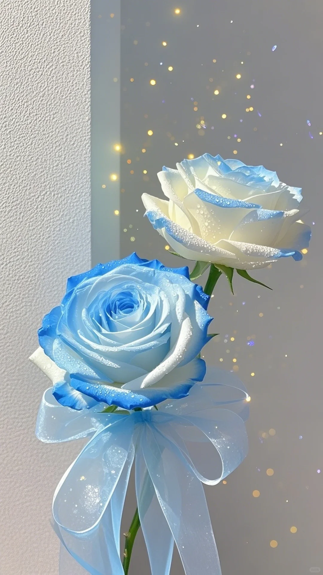 蓝色玫瑰花，浪漫的花花，梦幻的花花🌹?