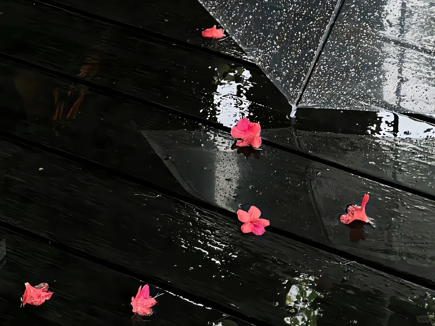 𝙒𝙚𝘾𝙝𝙖𝙩｜雨天 iPad 电脑 壁纸