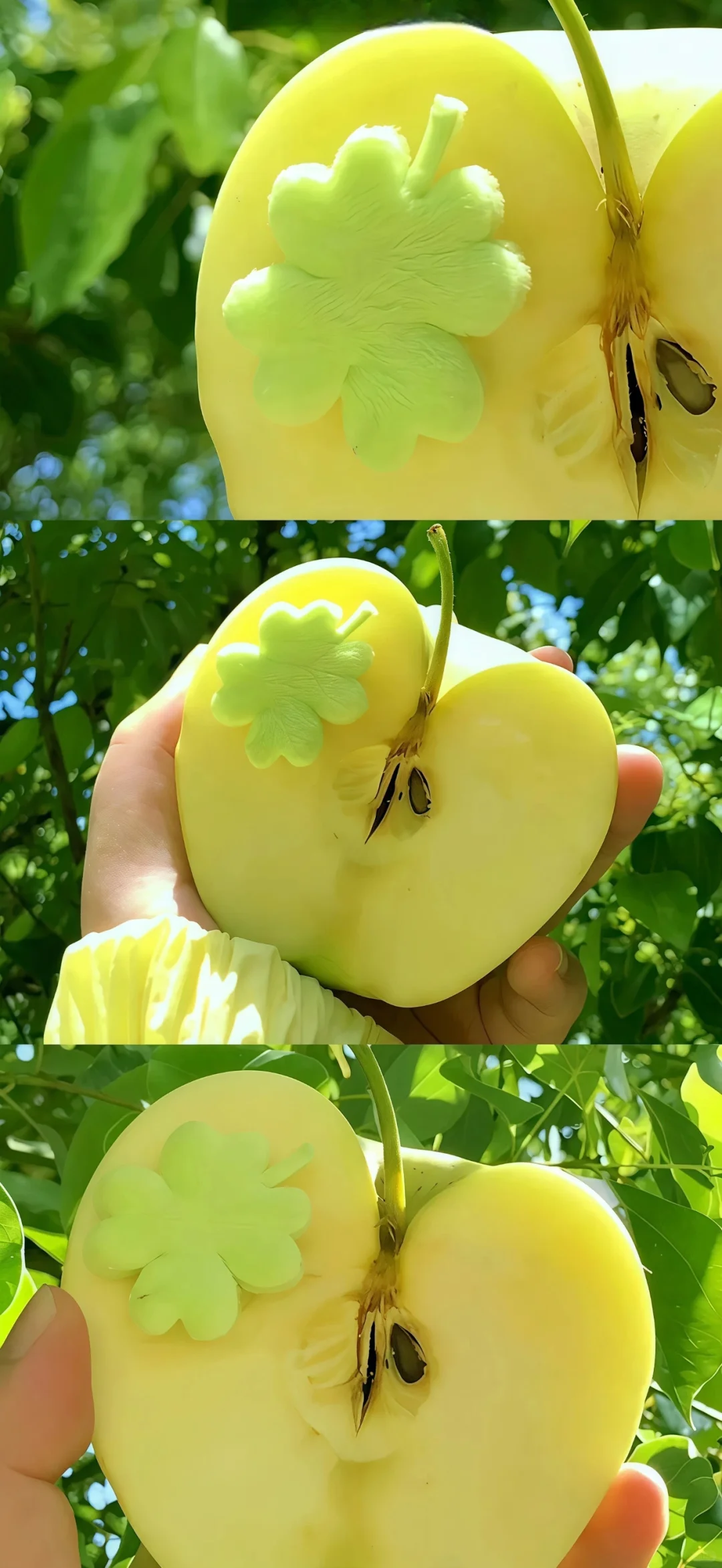 存一些好看的壁纸