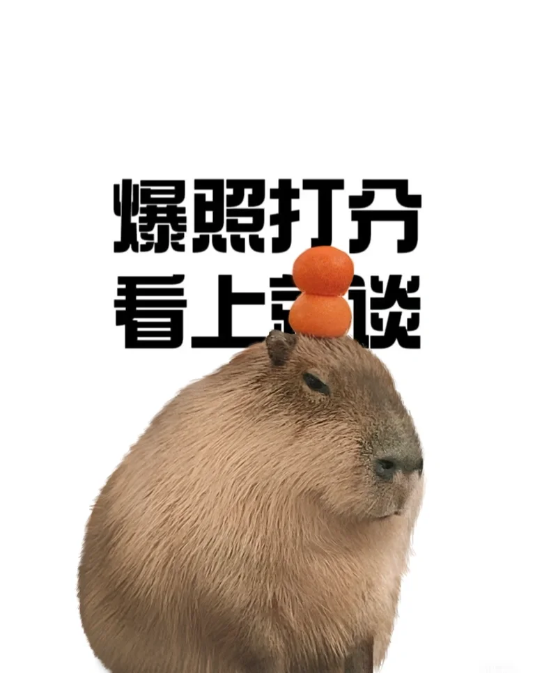 爆照打分，不玻璃心