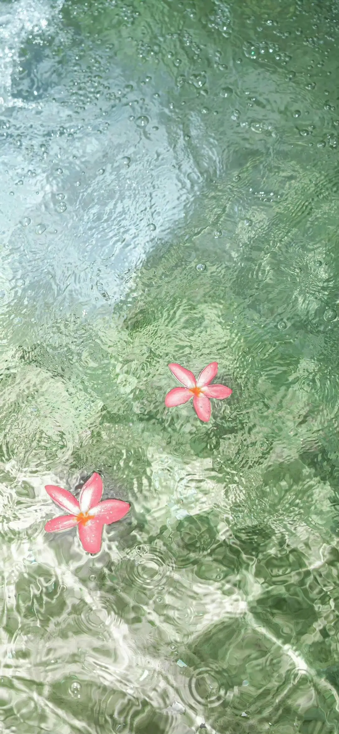 𝙬𝙖𝙡𝙡𝙥𝙖𝙥𝙚𝙧 | 氛围感全屏壁纸🍃