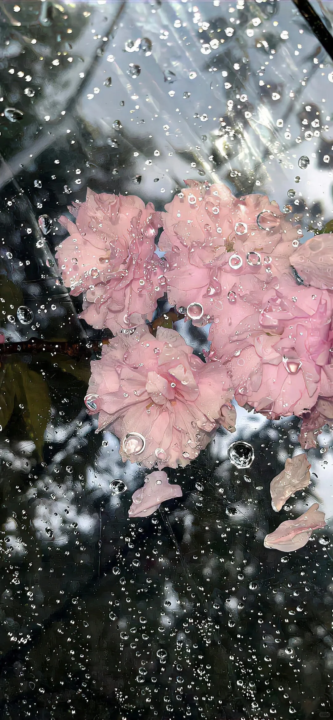 𝑾𝒆𝑪𝒉𝒂𝒕·夏日限定壁纸