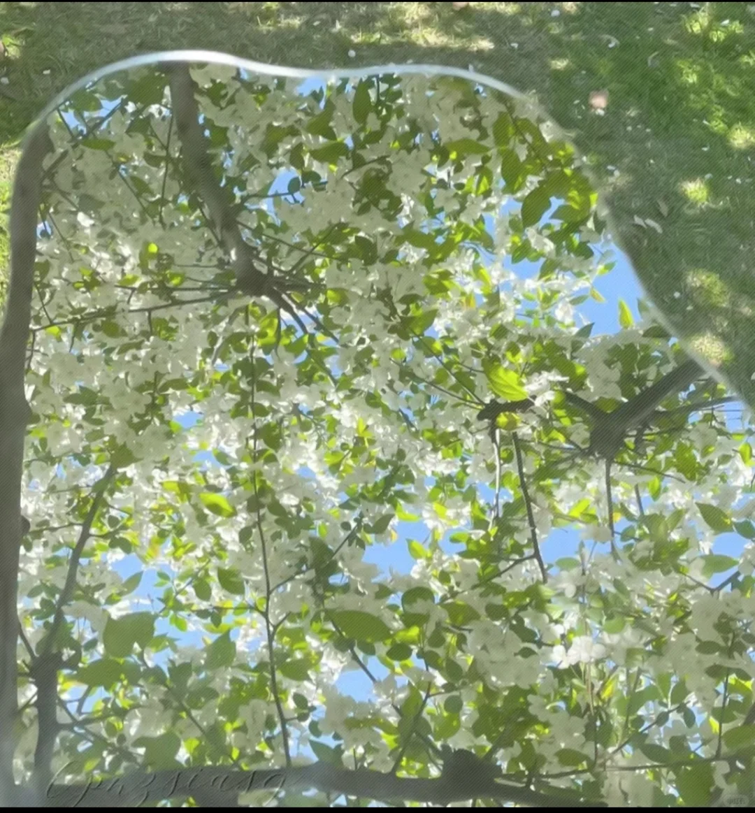 𝘄𝗲𝗰𝗵𝗮𝘁.夏天系背景图