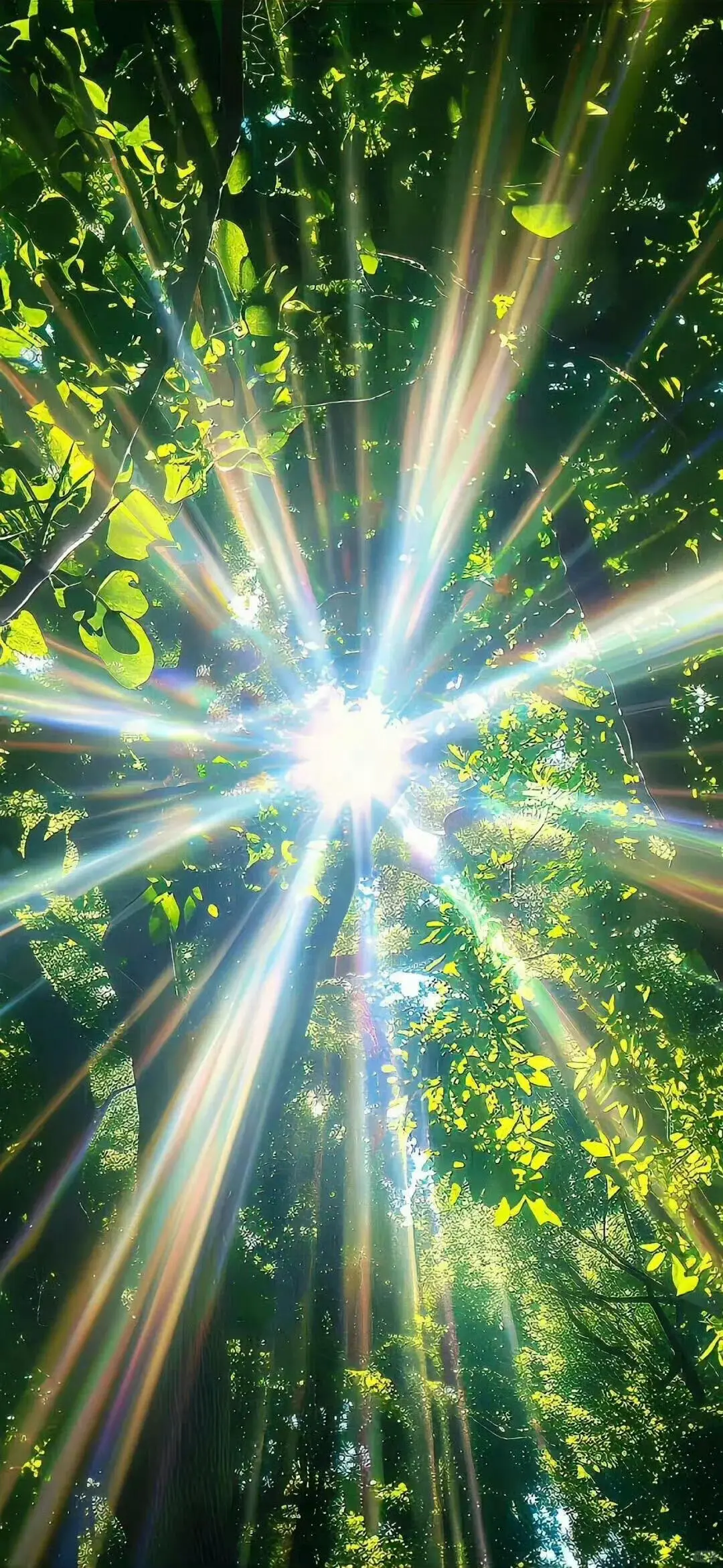 𝙬𝙖𝙡𝙡𝙥𝙖𝙥𝙚𝙧 | 氛围感全屏壁纸🍃