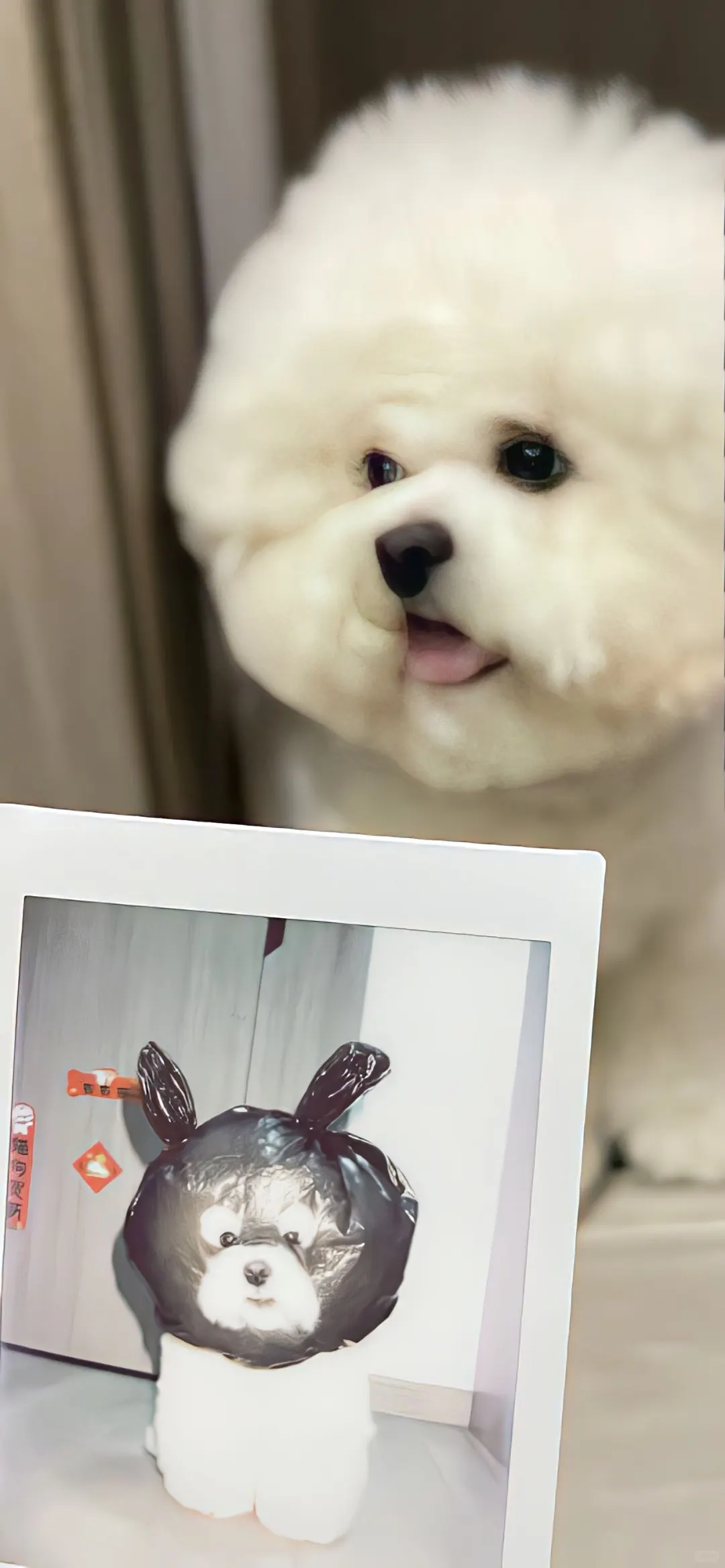 小众壁纸1