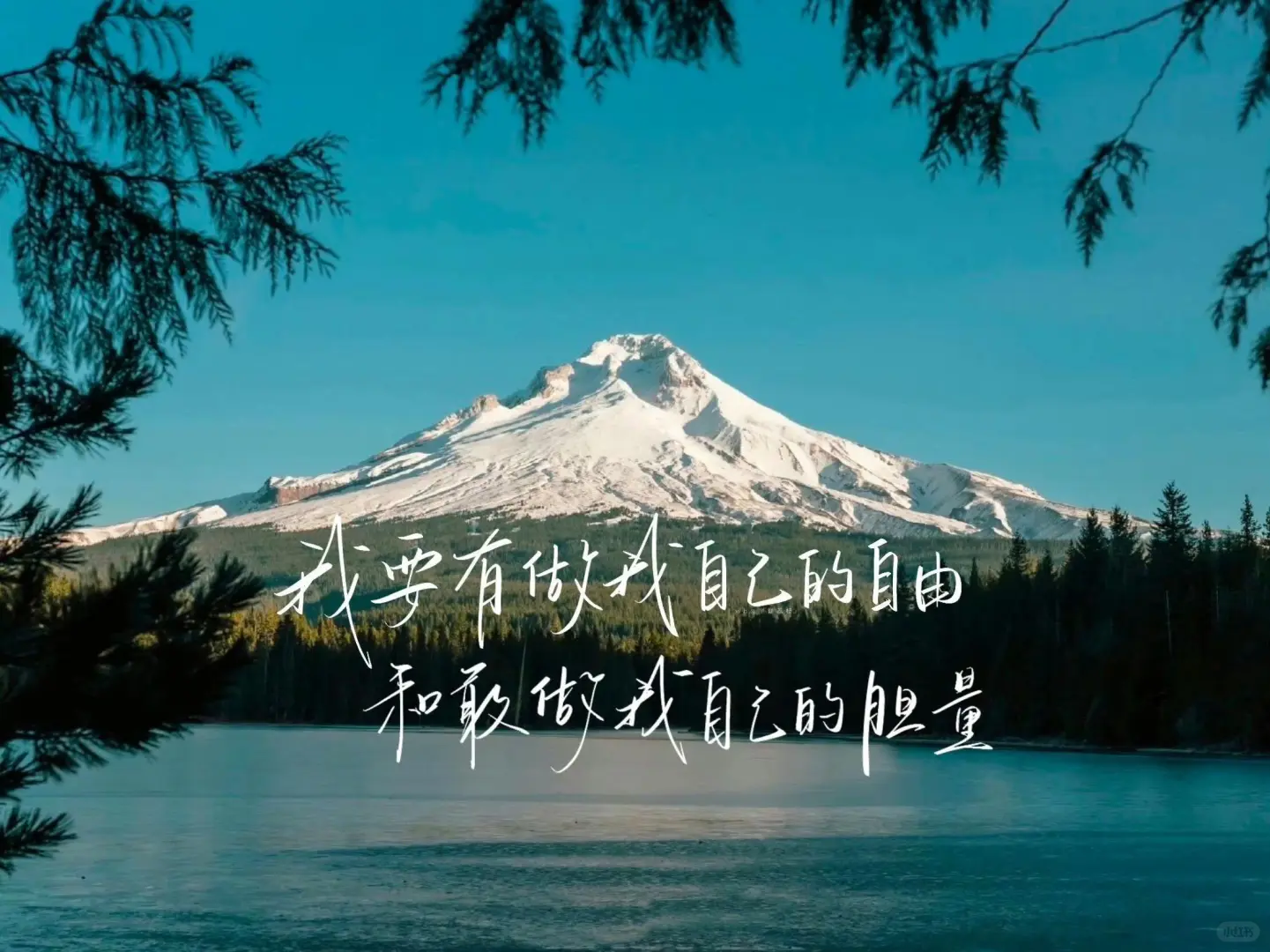 ipad文字壁纸来啦
