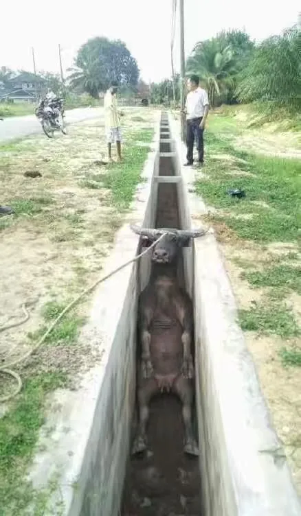 搞笑图片