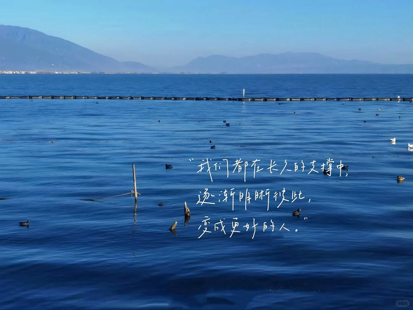 ipad壁纸｜祝你逃出苦难向春山