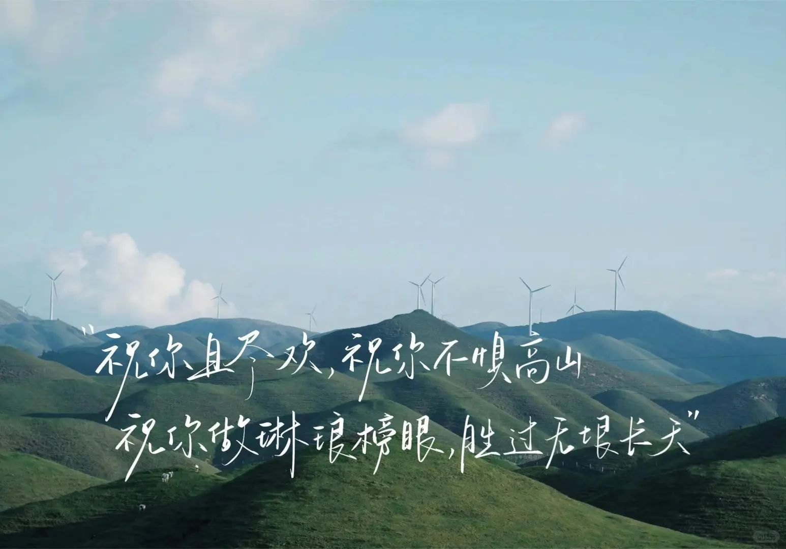 ipad文字壁纸来啦