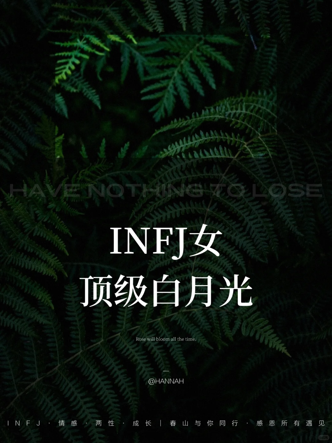 INFJ女顶级白月光