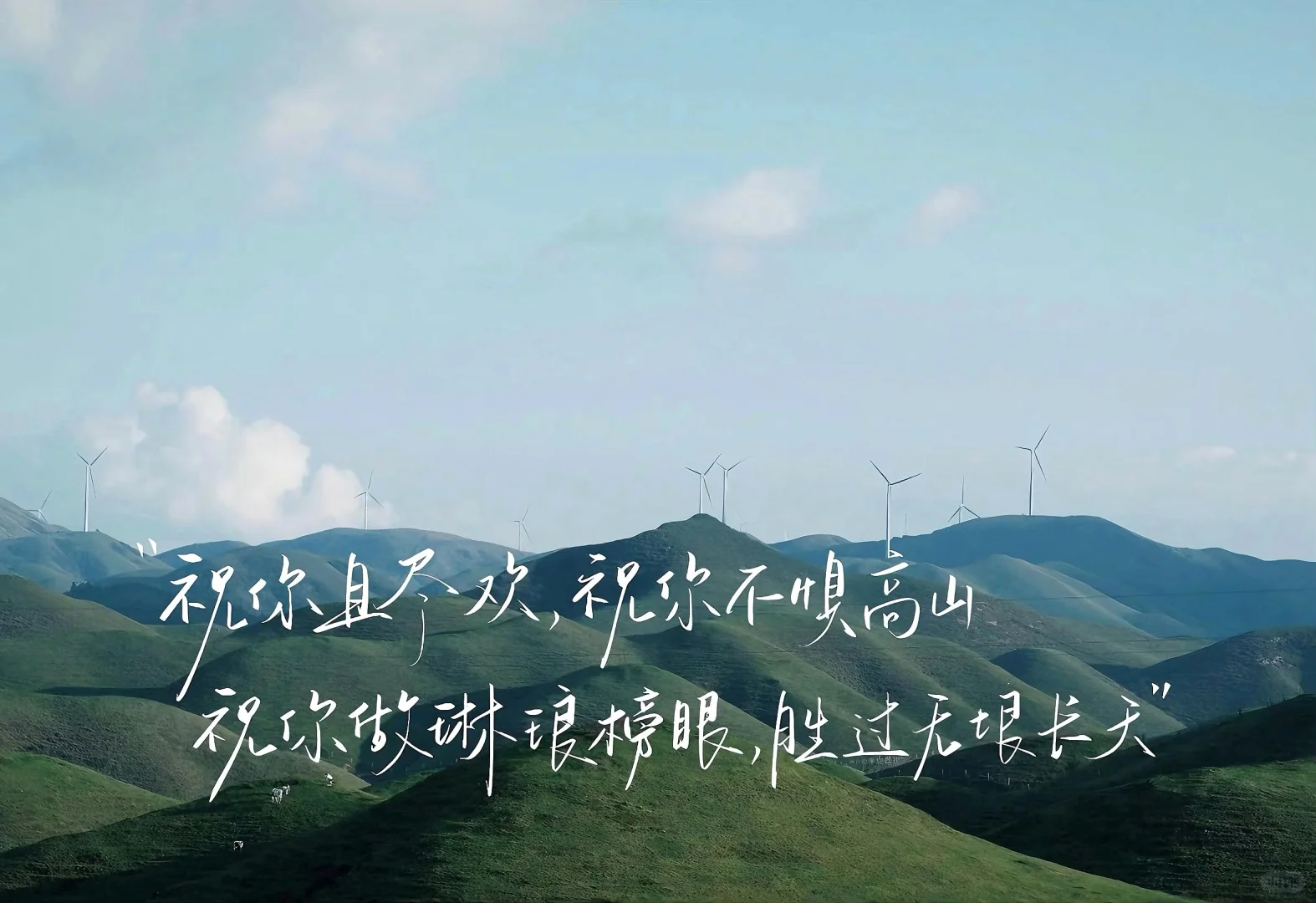 ipad壁纸｜祝你逃出苦难向春山