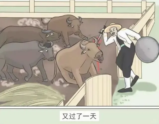 搞笑图片