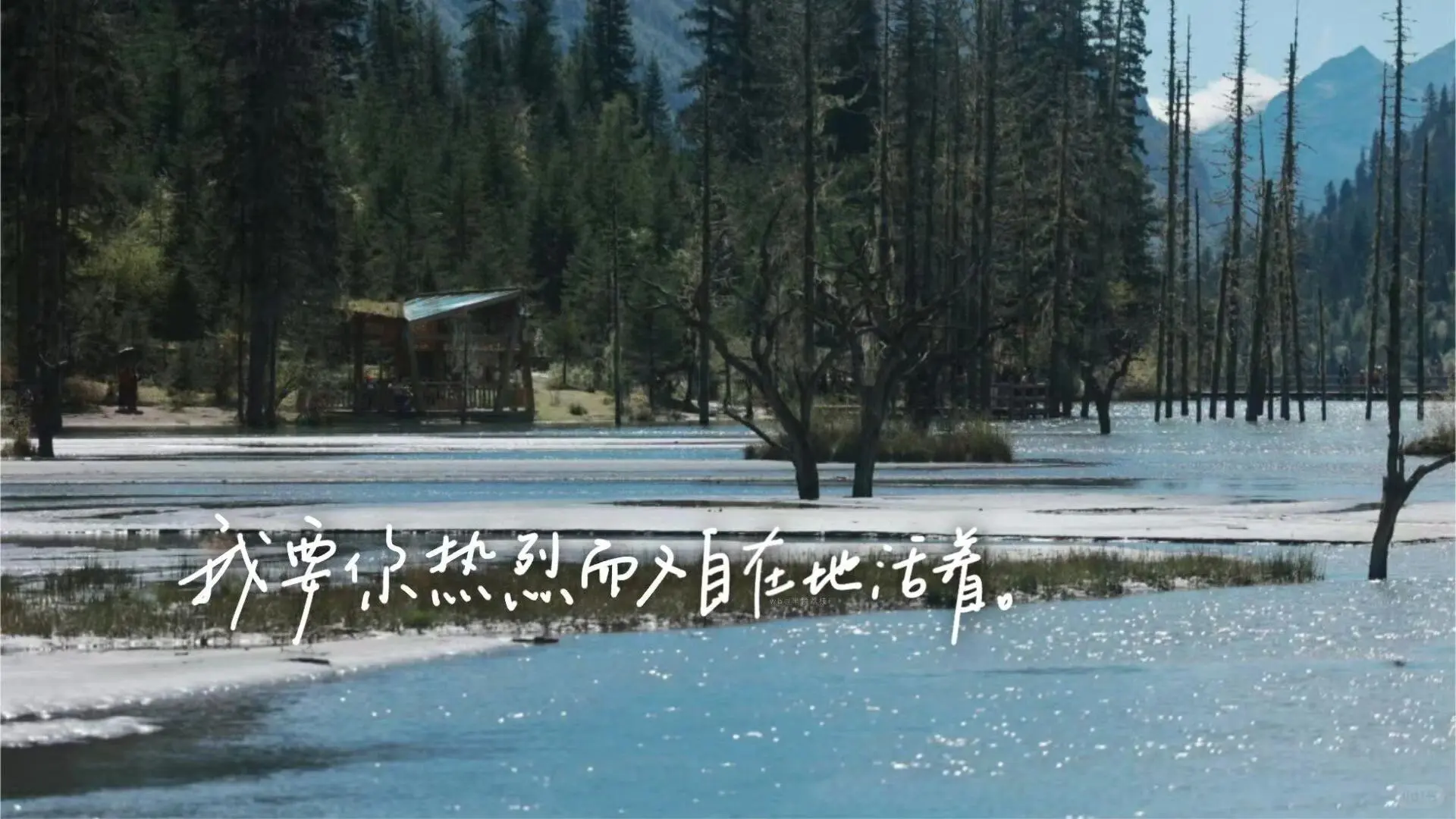 ipad文字壁纸来啦
