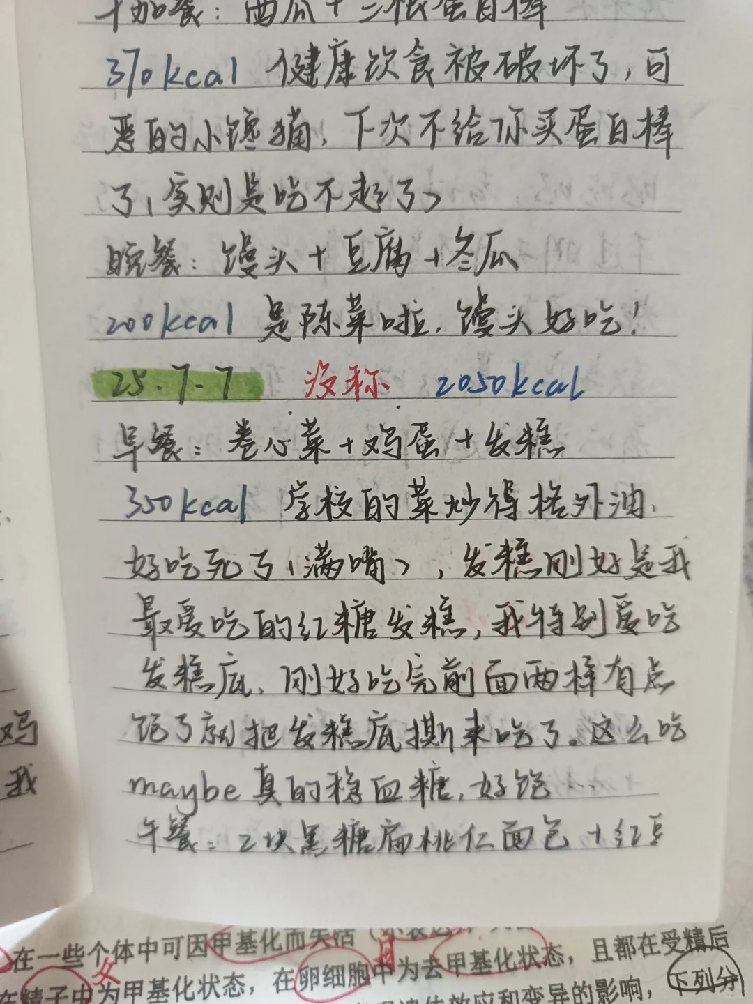 2050大卡‖某ed女高的复食日记