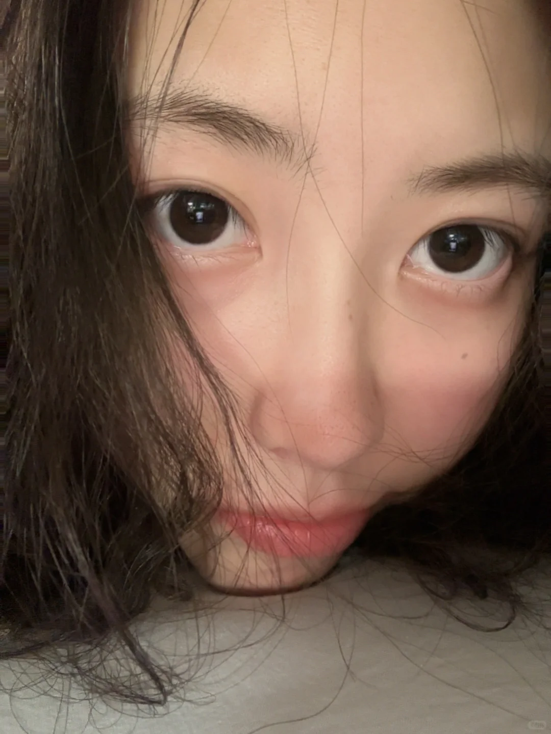 原来你不是木讷的树